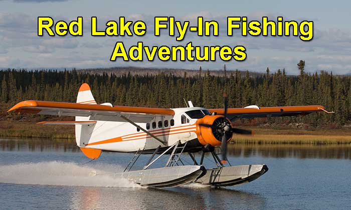 Red Lake fishing Trips